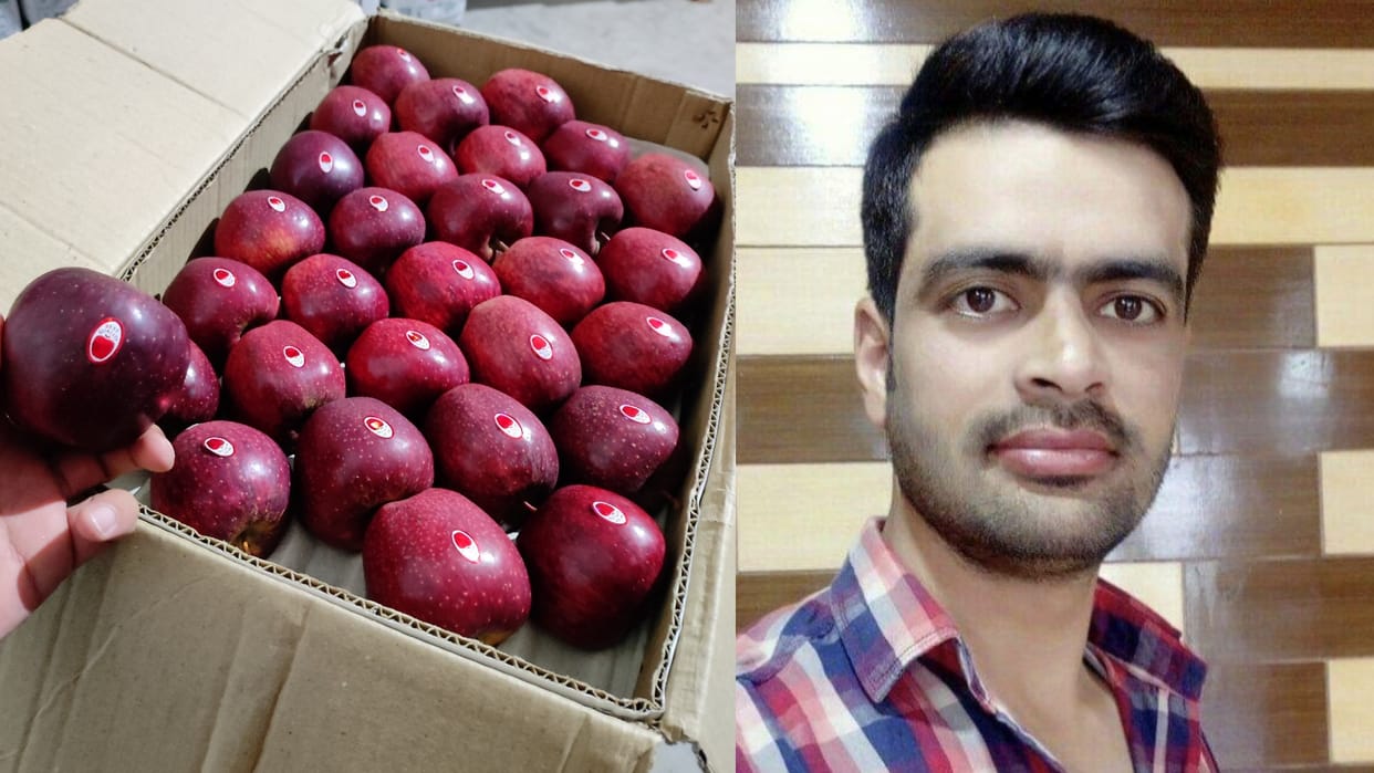 Shimla organic apple export to Dubai Apple grower Vineet Verma Story