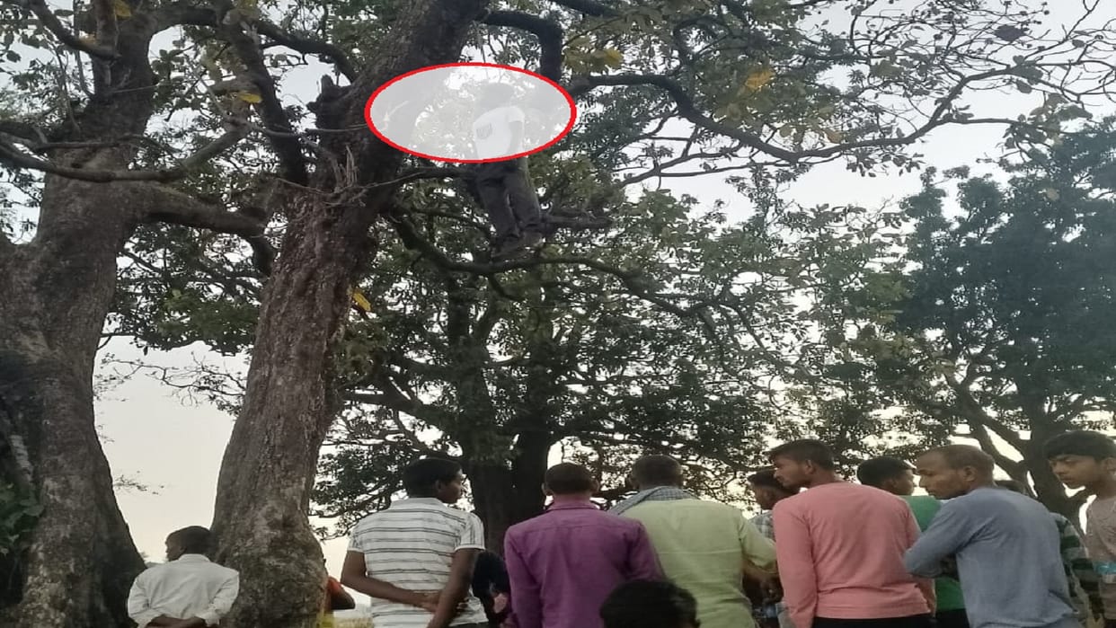 Dead body of 10th class student found hanging from tree, suicide or something else, police engaged in investi