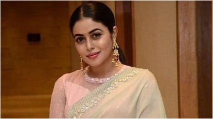 Dasara Actress Shamna Kasim Become a proud mother to a baby boy delivered her first child