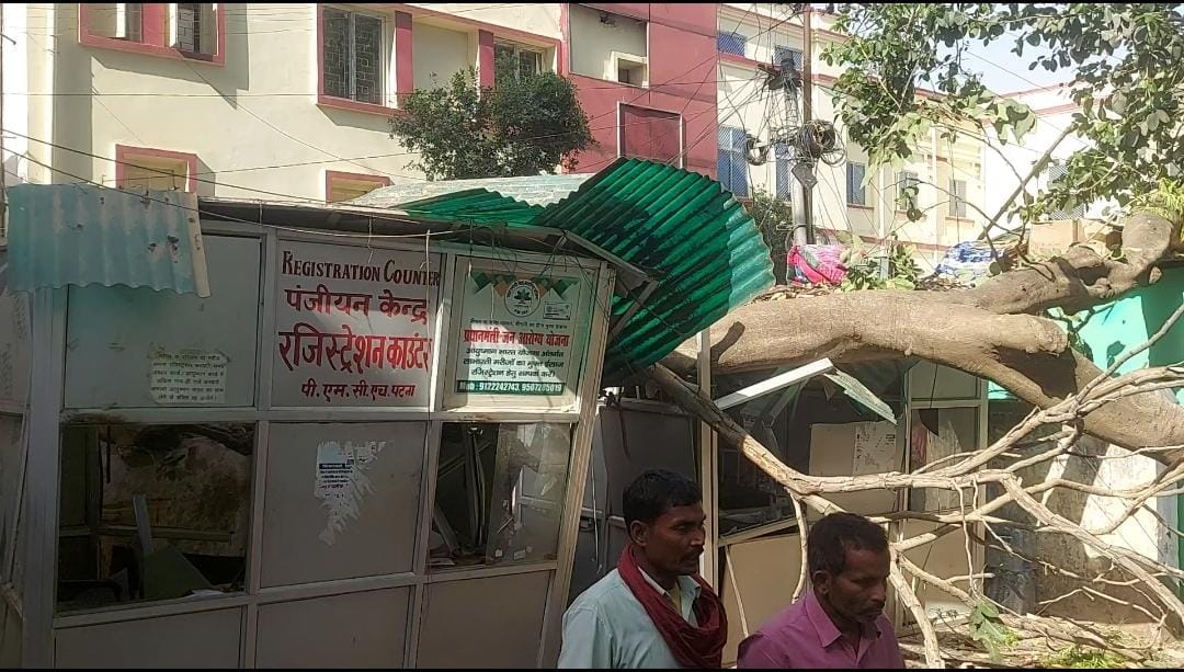 Patna: There was chaos in the state's largest hospital PMCH, huge tree fell on the registration counter