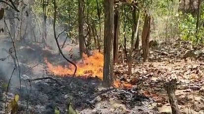 Bihar News: आग ही आग...इन जिलों में आग लगने से मचा तांडव, पछुआ हवा भी कहर बरपा रही बिहार समाचार बिहार के कई जिलों में गुरुवार को आग लग गई