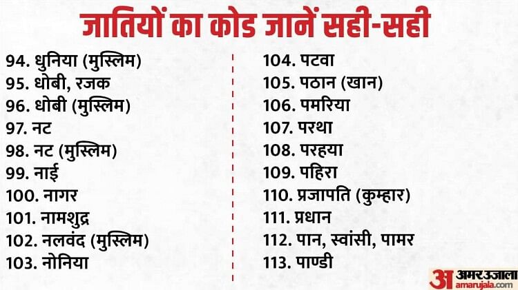 Bihar Survey Castes Code; 214 castes in Bihar caste census, see your caste code in Hindi