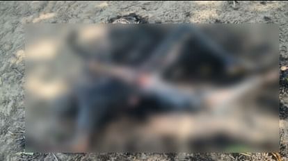 Renowned Cement businessman murderd by hanging, burnt the dead body while he was going to temple in Bijnor