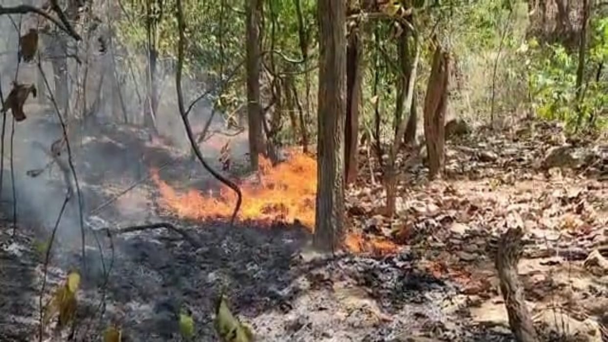Bihar News Fire broke out in many districts of Bihar on Thursday