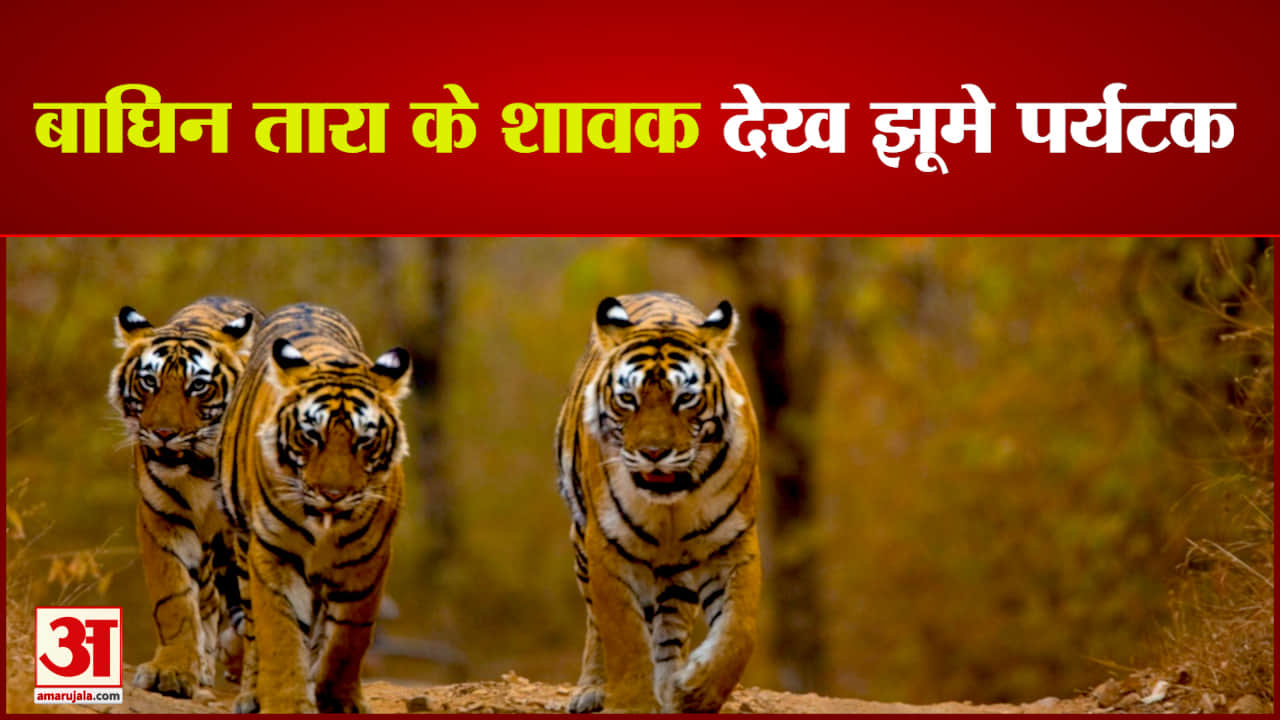 बांधवगढ़ टाइगर रिजर्व