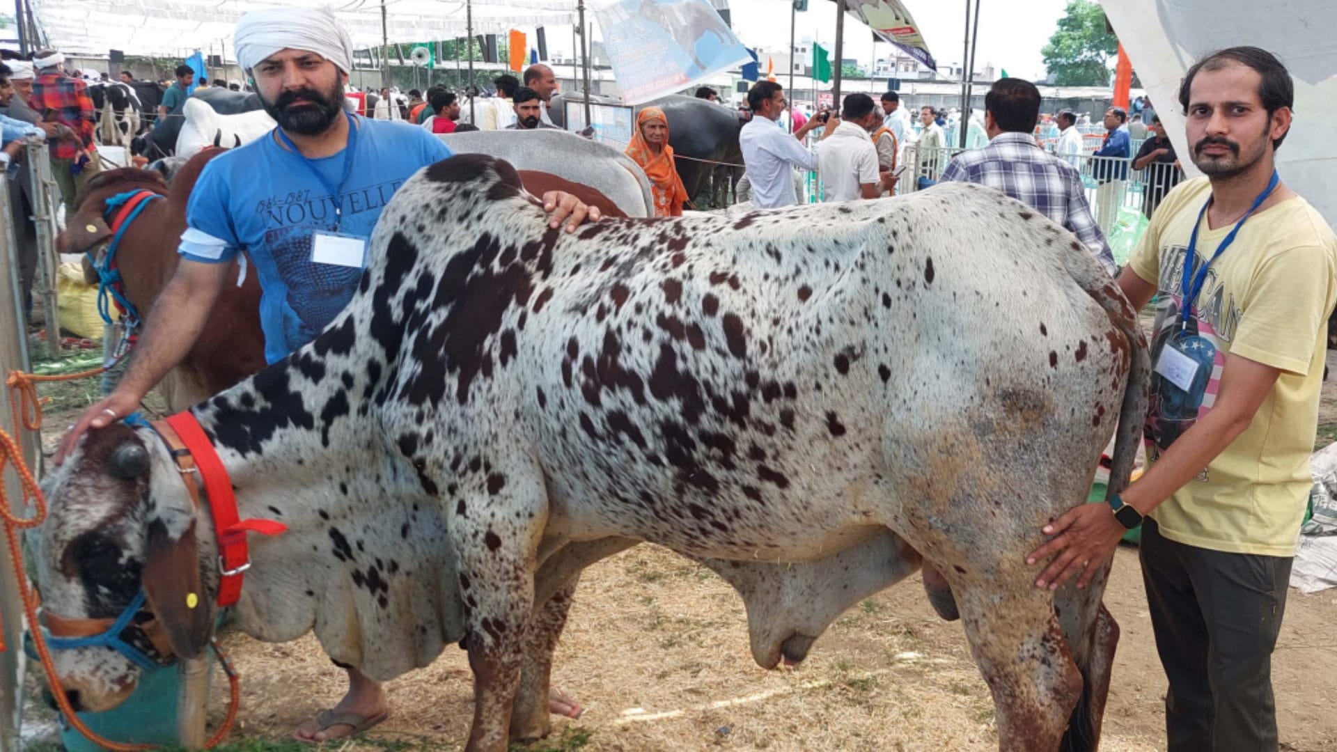 National Kisan Mela in Muzaffarnagar: 43 inch goat is being well liked and its ear length is 17 inch
