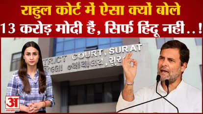 Rahul Gandhi Disqualified news what is written in rahul gandhi appeal