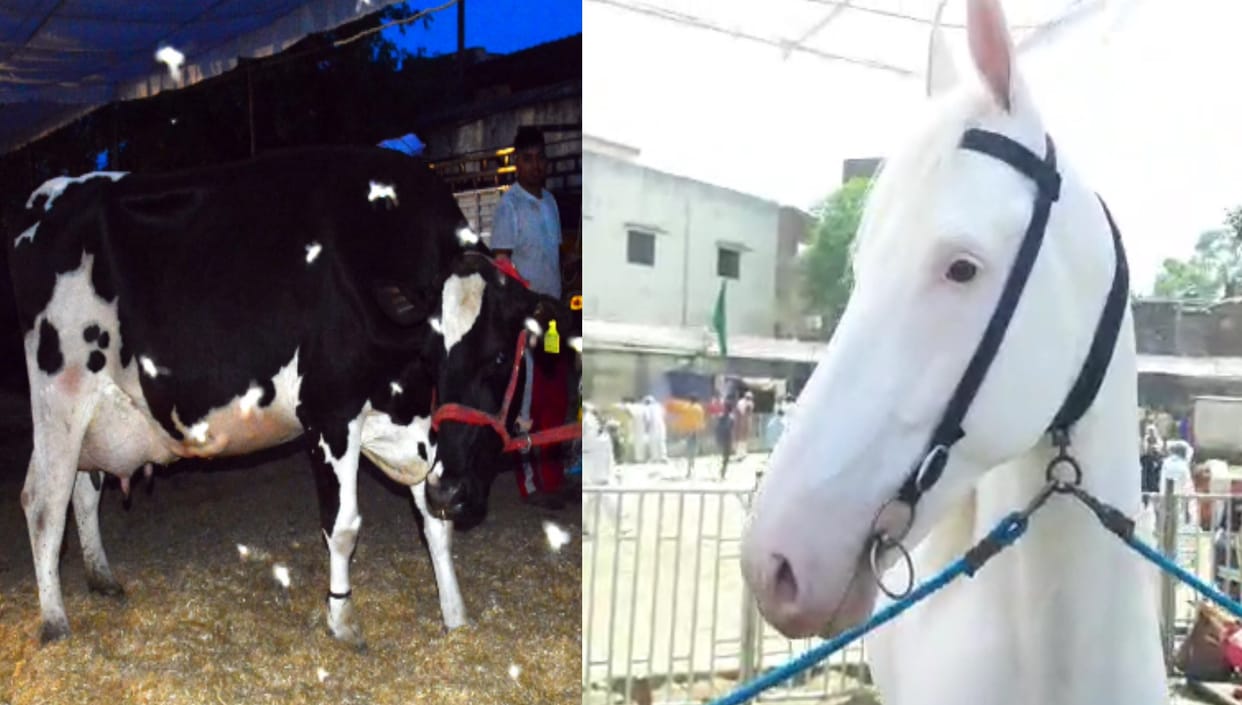 National Kisan Mela in Muzaffarnagar: Ujali gives 65 liters of milk, Buffalo of two and a half crore