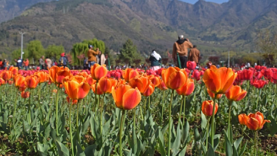 Mercury reaches near 30 degrees in Jammu, weather will remain clear in the state till April 10