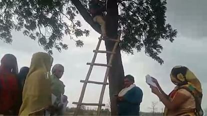 Panchayat Secretary looking for connectivity by climbing trees, roof of building to fill forms of Ladli Bahna