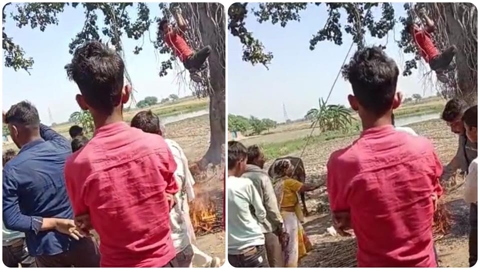 Gram Pradhan Hanging youth Tree And Set Fire Blame Of Stolen Chair In Shikohabad Divaichi Village