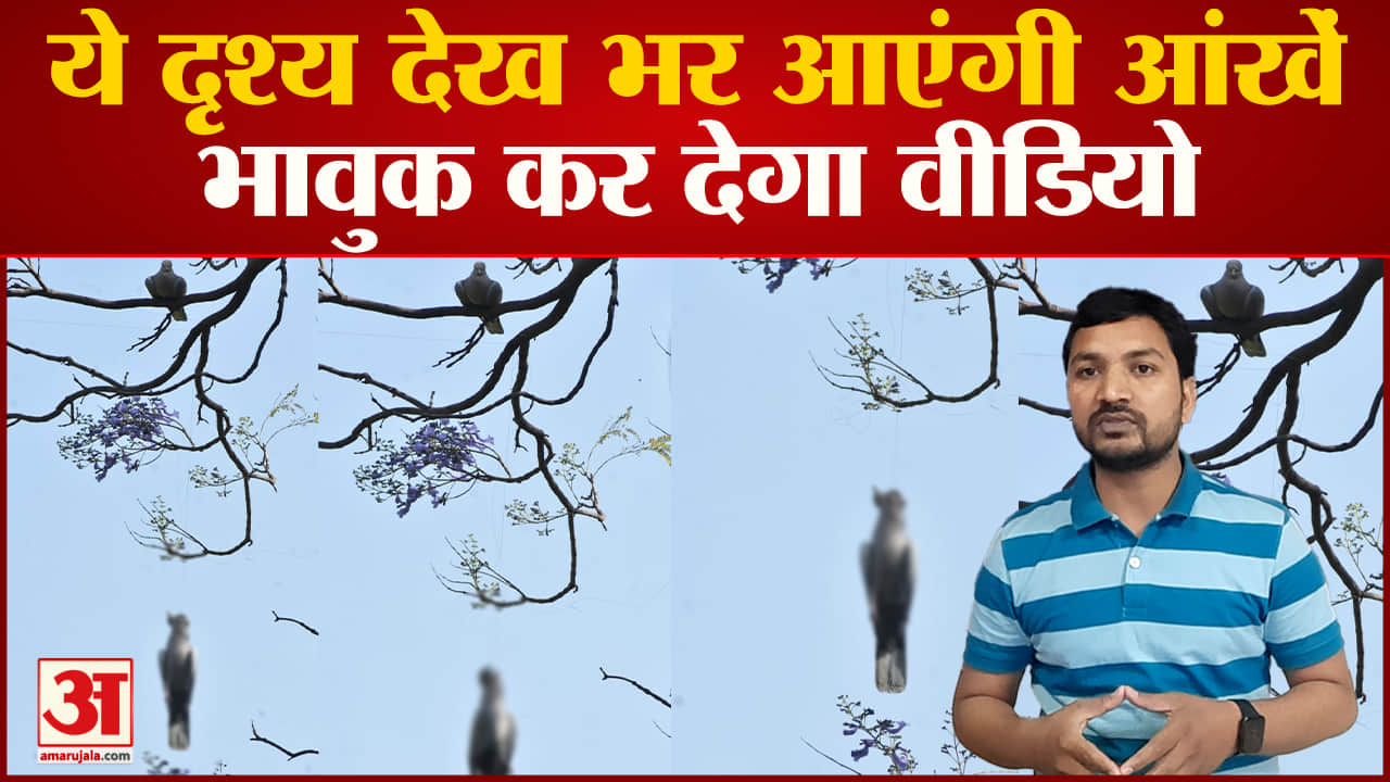 चीनी मांझा