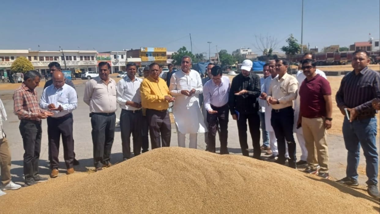 Teams of technical experts reached Haryana to test wheat on behalf of Union Ministry of Public Distribution