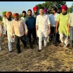 खराब फसलों का जायजा लेते सांसद राघव चड्ढा