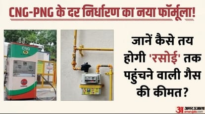 Gas price for Apr at $7.92 but price for consumers capped at $6.5: Govt order