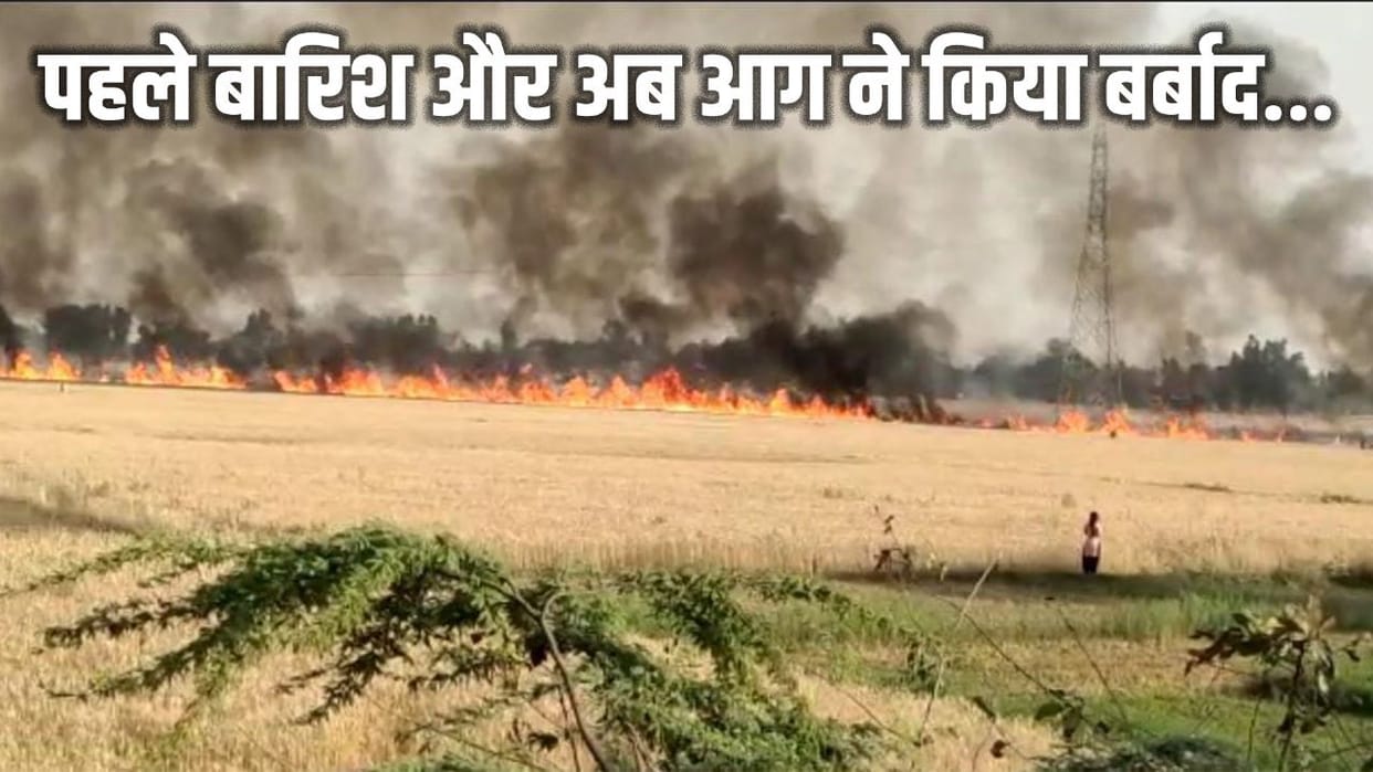 150 bighas of wheat crop burnt in sant kabir nagar