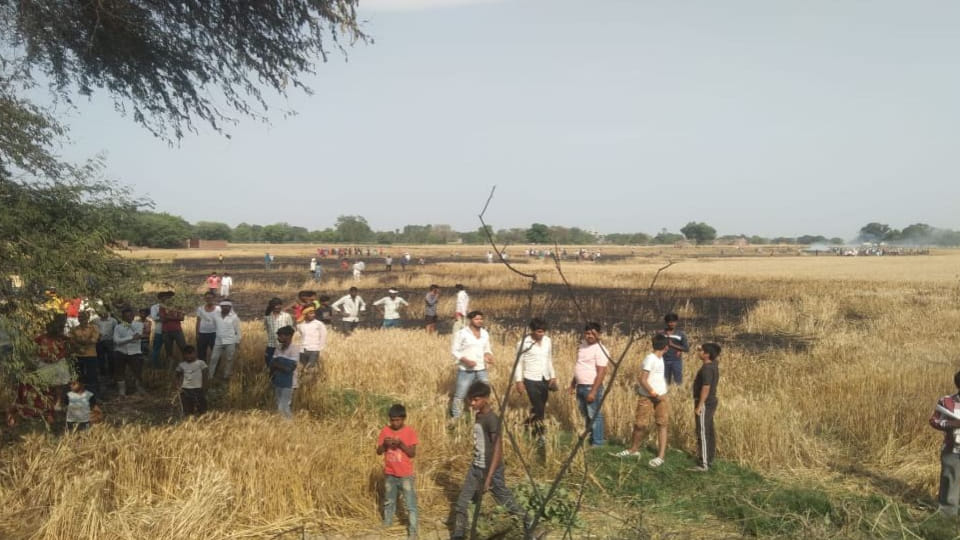 ninety bighas of wheat crop burnt to ashes due to fire in Mainpuri