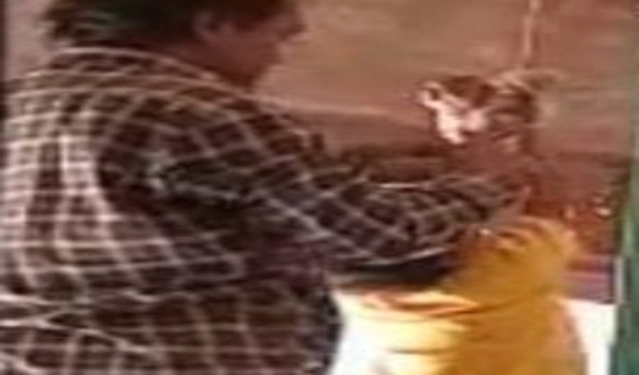 Father anger not able to hear Kakhara, tied innocent son with a rope and hanged