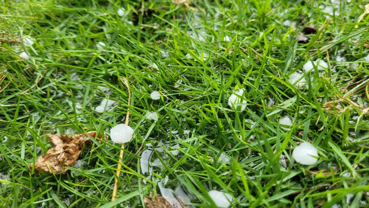 MP Weather Hail fell in Bhopal rain in many districts including Indore clouds will prevail on Sunday as well