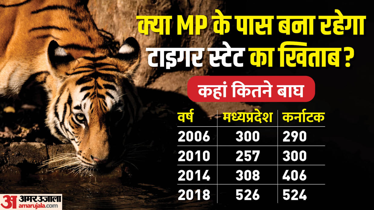 MP News: Will Madhya Pradesh remain the country's Tiger State, PM will release figures tomorrow