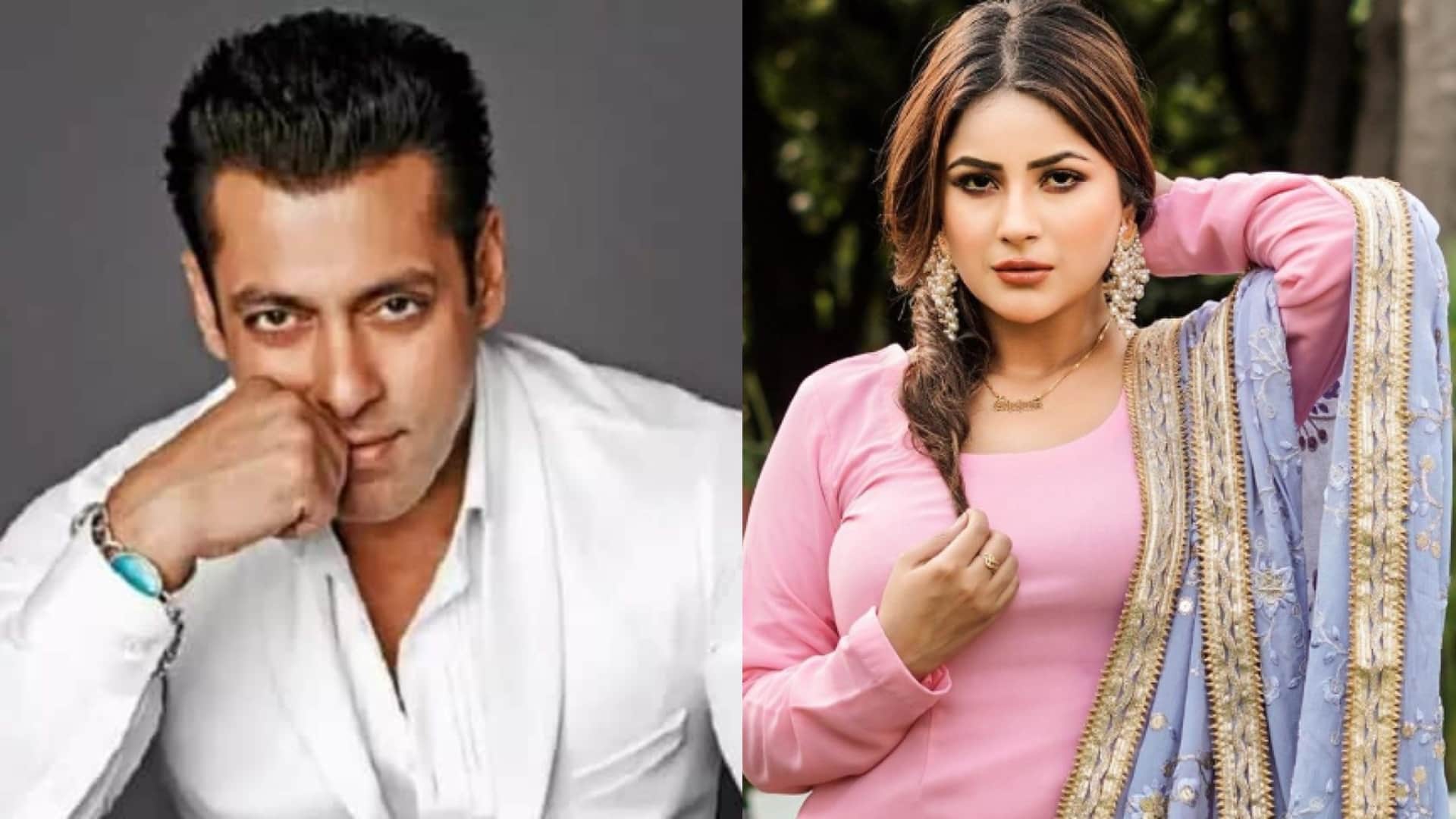 Kisi Ka Bhai Kisi Ki Jaan Actress Shehnaaz Gill Pooja Hegde Palak Tiwari Praises Salman Khan