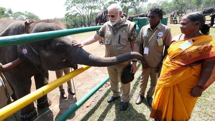 बांदीपुर टाइगर रिजर्व: अलग अंदाज में दिखे पीएम मोदी, जंगल सफारी के लिए मजे, देखें दस तस्वीरें Bandipur Tiger Reserve PM Modi seen in a different style fun for jungle safari see pictures