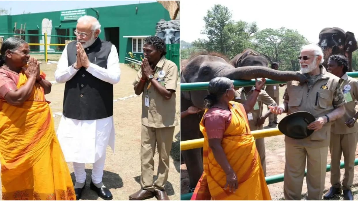 oscar award winning documentary the elephant whisperers bowman and bailey meet pm modi