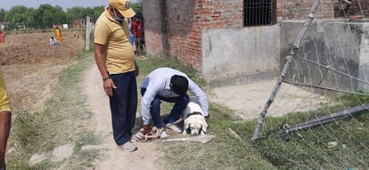 Varanasi Crime: Woman's half-naked body found, serious injury marks on face and stomach, fear of rape