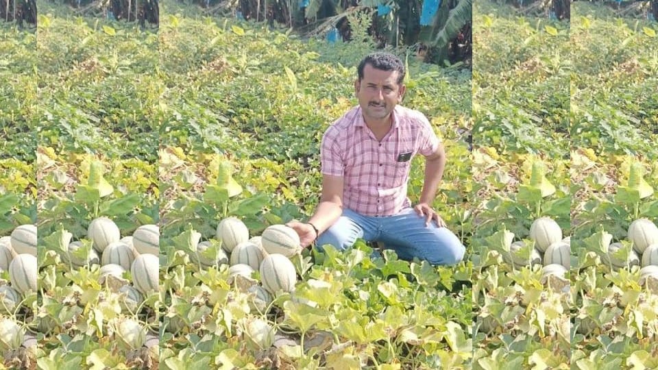 kisan farming experiment youth farmer