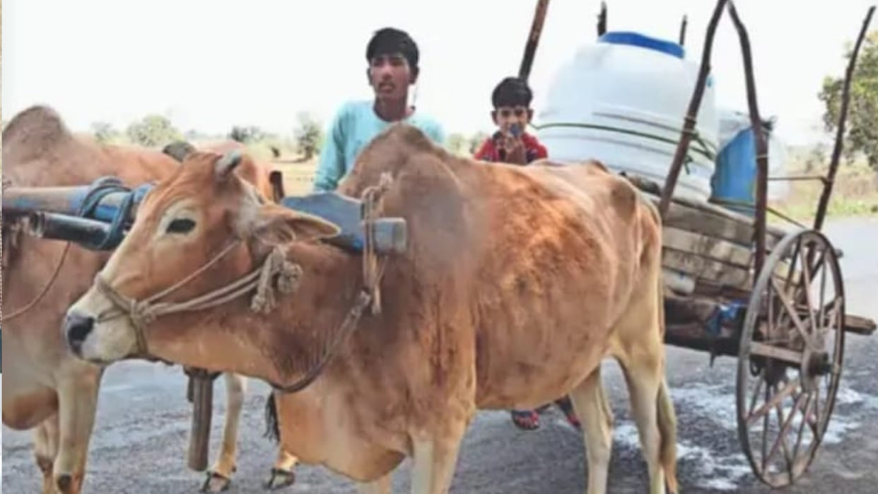 With the onset of summer, people started struggling with water scarcity, bringing water from bullock carts