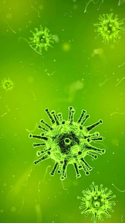Influenza is troubling children and elderly three including a three year old girl found positive Dehradun
