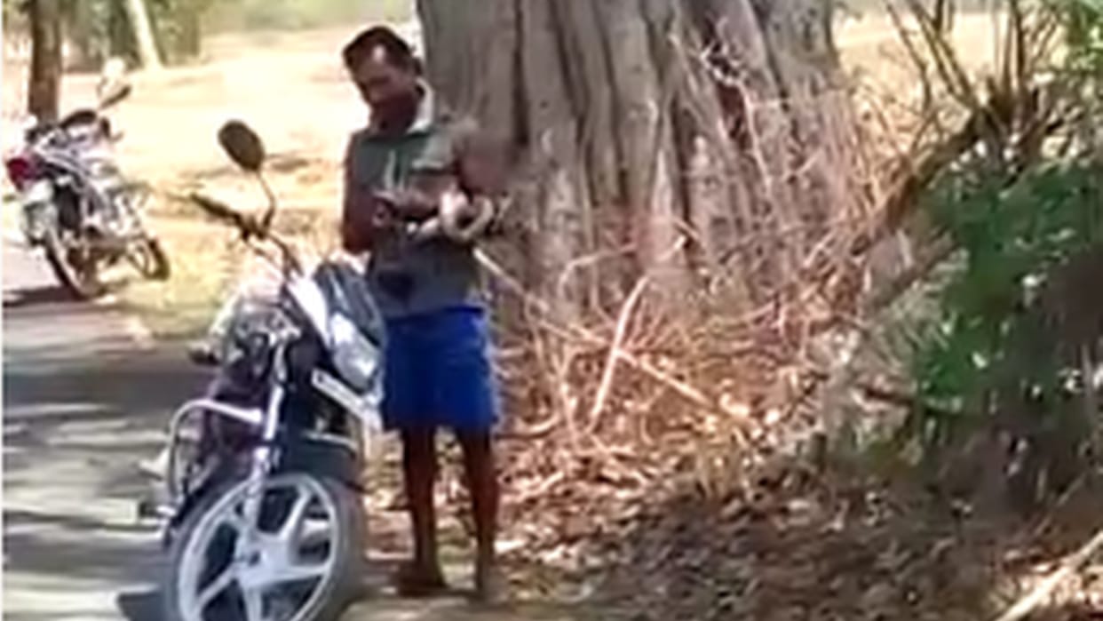 chhattisgarh young man dies due to bite while playing with cobra in gpm