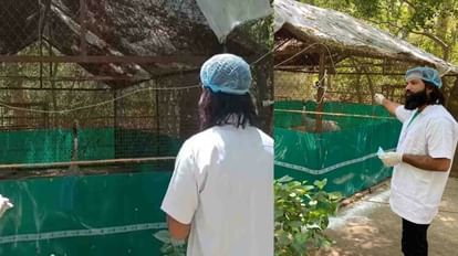 Kanpur: saras met Arif after 27 days in kanpur zoo