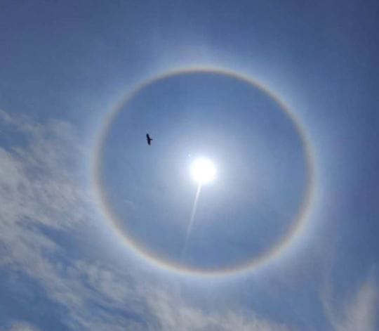 A wonderful sight was seen in the sky, the sun was seen between the blue sky and rainbow rings, know - what wa