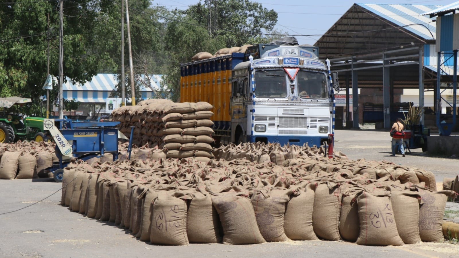 गेहूं से भरी बोरियां।