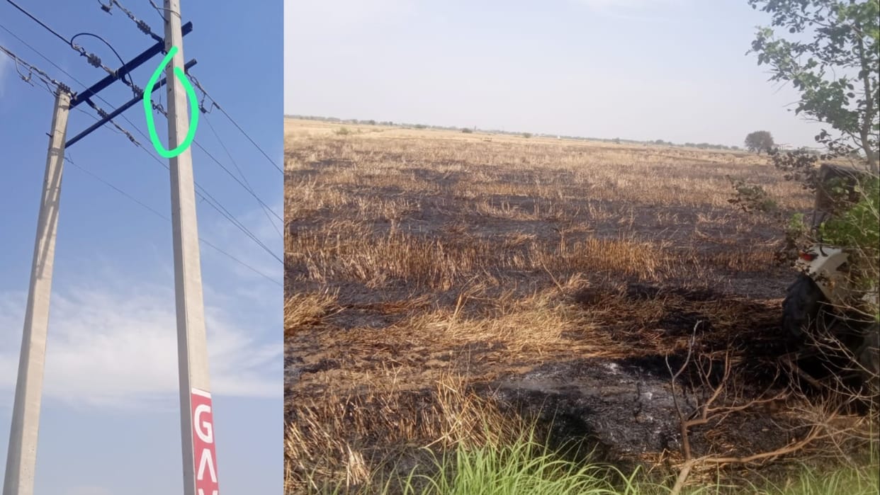 Short circuit in electric wires, 19 acres of wheat crop burnt