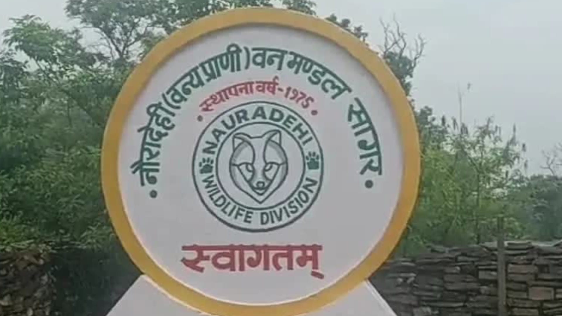Tigress Radha gave new identity to Nauradehi Sanctuary, populated the forest with tigers in five years