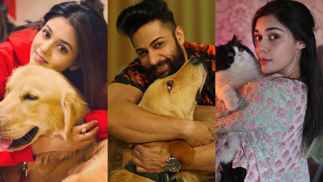 National Pet Day these bollywood celebs love their tamed from Shalin Bhanot to Tanvi Dogra
