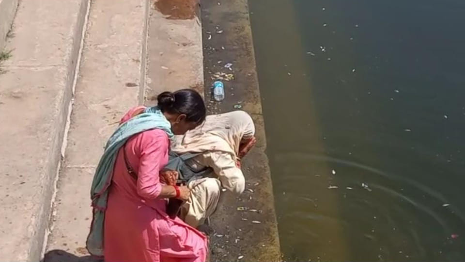 Small and big water bodies are dying in water of Kusum Sarovar in Mathura responsible person careless