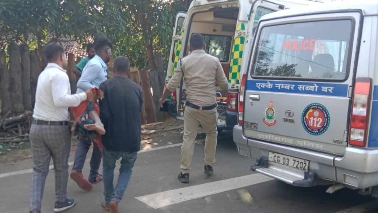 woman who went to pick mahua was injured after hitting stone when the bear ran in korba