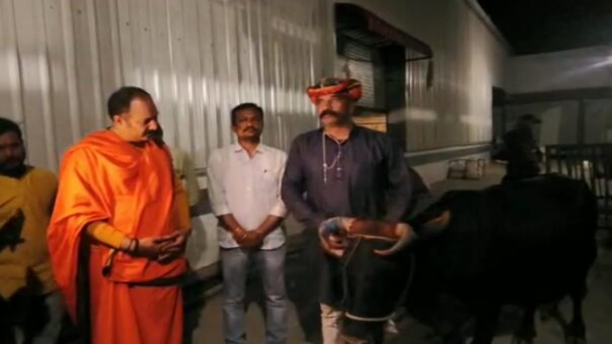 Sehore News The miscreants left in Kubereshwardham while beating the cows