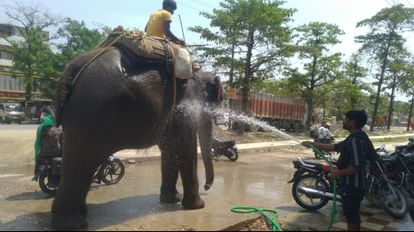 Gorakhpur Heat Wave: बढ़ रहे तापमान से हीटस्ट्रोक का खतरा, जरा सी लापरवाही होगी जानलेवा Temperature can reach 42 degree Celsius in Gorakhpur this week