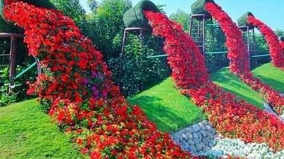 Kashi is getting ready for G20: Seeing the G-20 logo, green dolphin, vertical garden, you will also say 'wow w