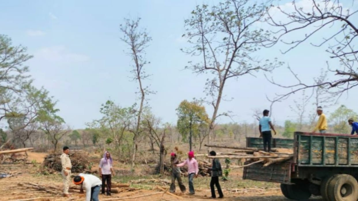The encroachers of Burhanpur had hidden wood worth three crores, seized 50 trucks and 30 tractors