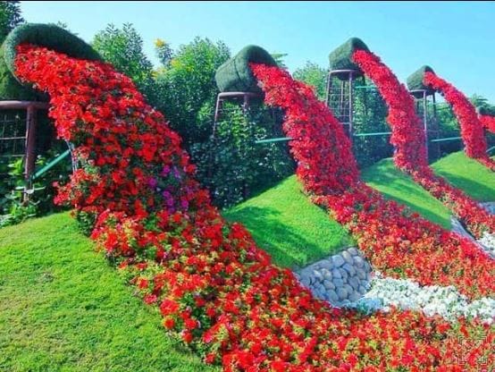 Kashi is getting ready for G20: Seeing the G-20 logo, green dolphin, vertical garden, you will also say 'wow w