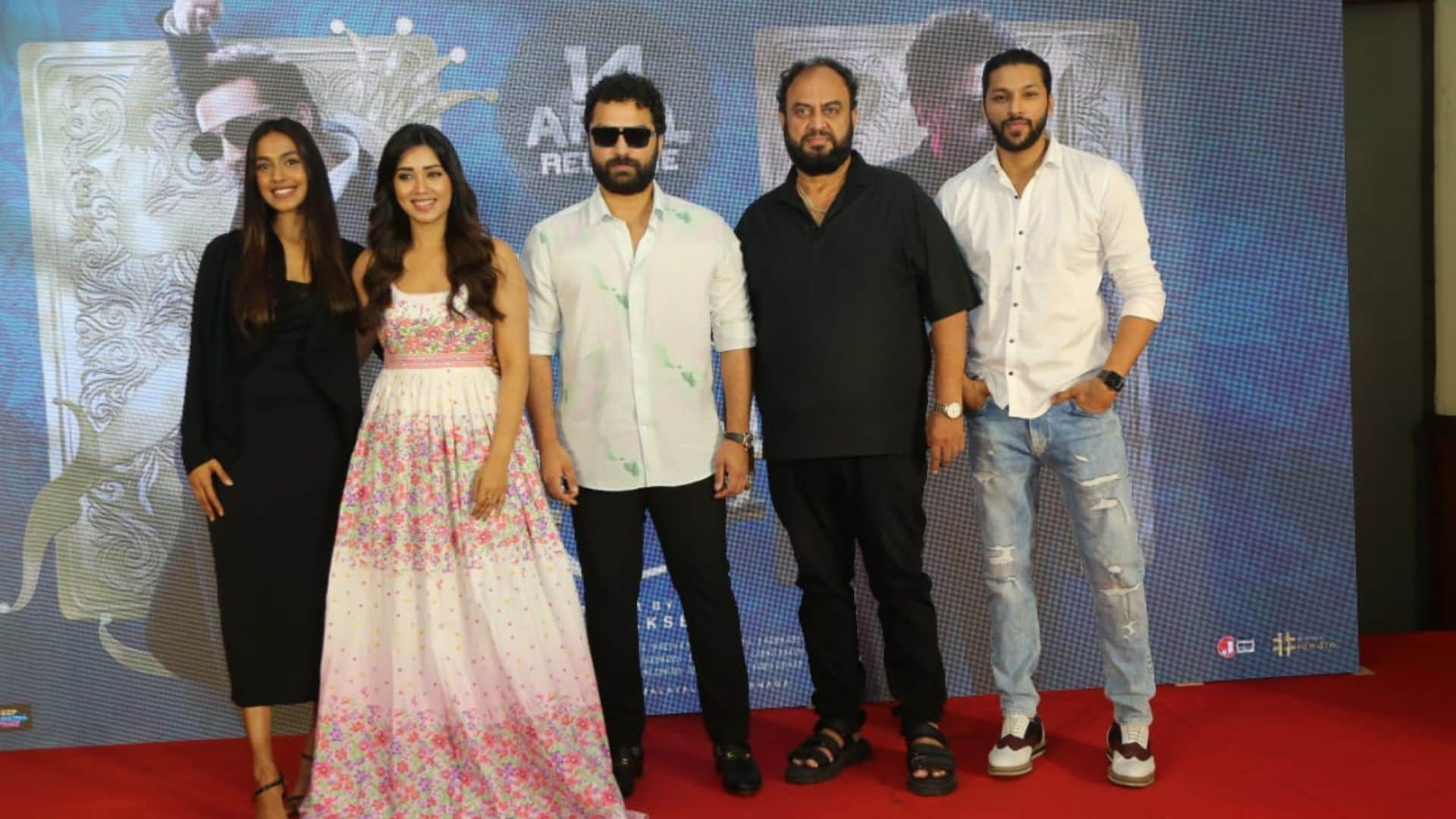 Das Ki Dhamki is all set to release in hindi Vishwaksen Nivetha Pethuraj Rohini Molleti Rao starrer film