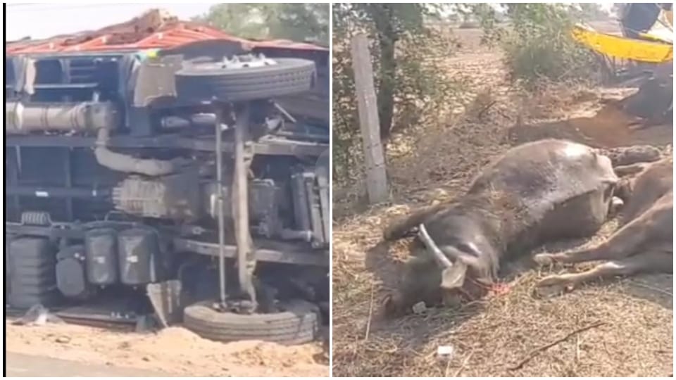 Three killed five injured in collision between two trucks in Hanumangarh Road Accident
