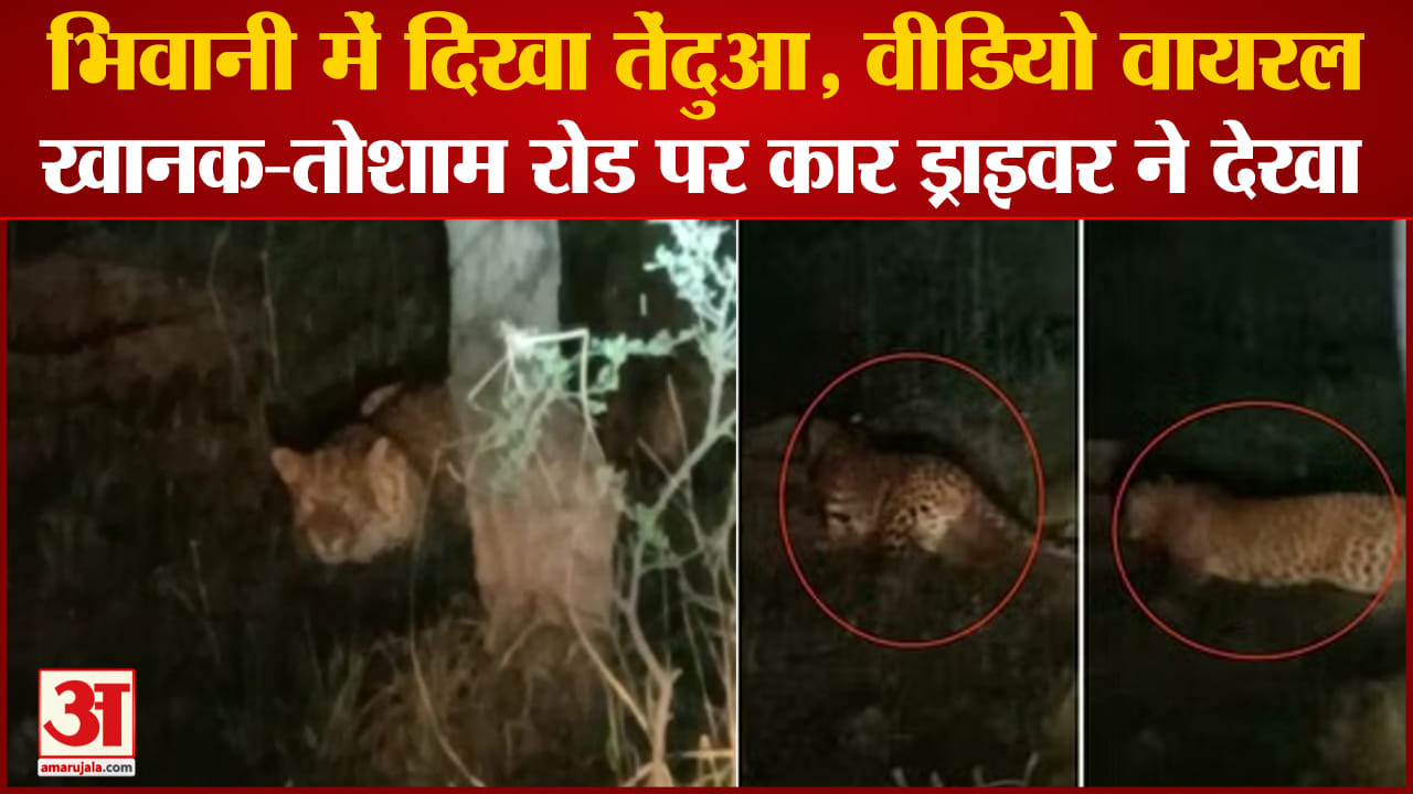 भिवानी
