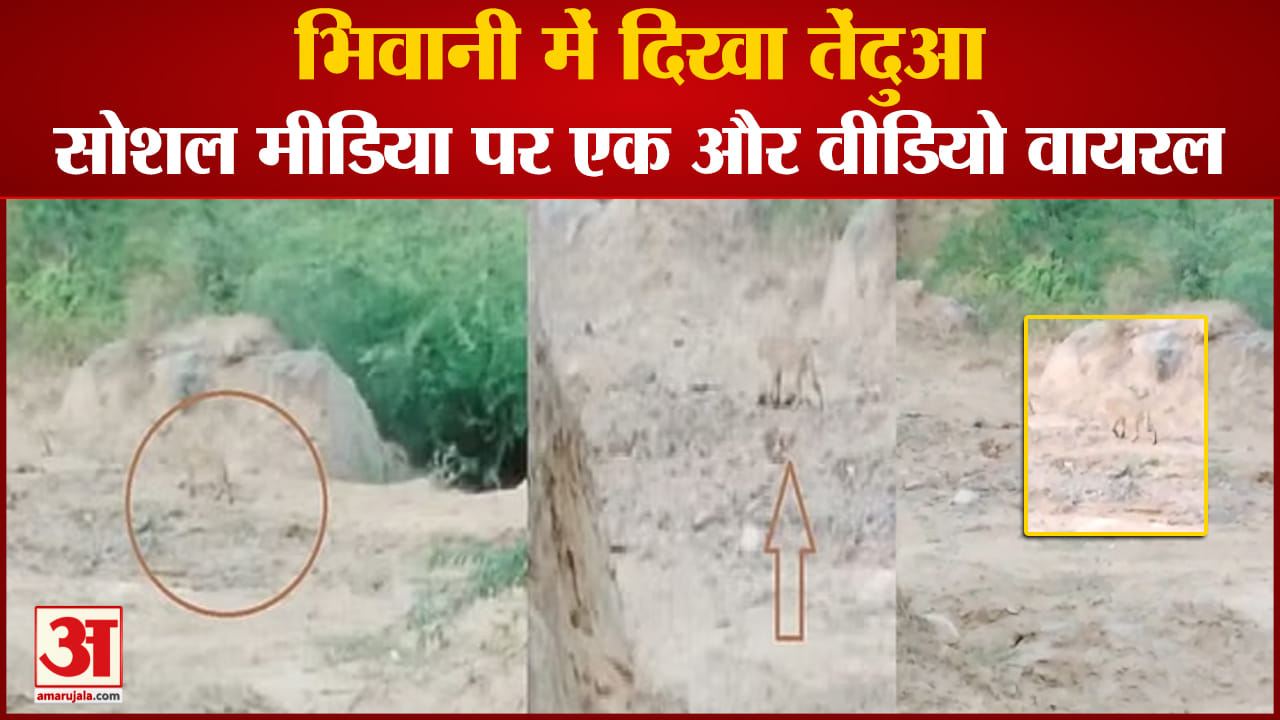 भिवानी