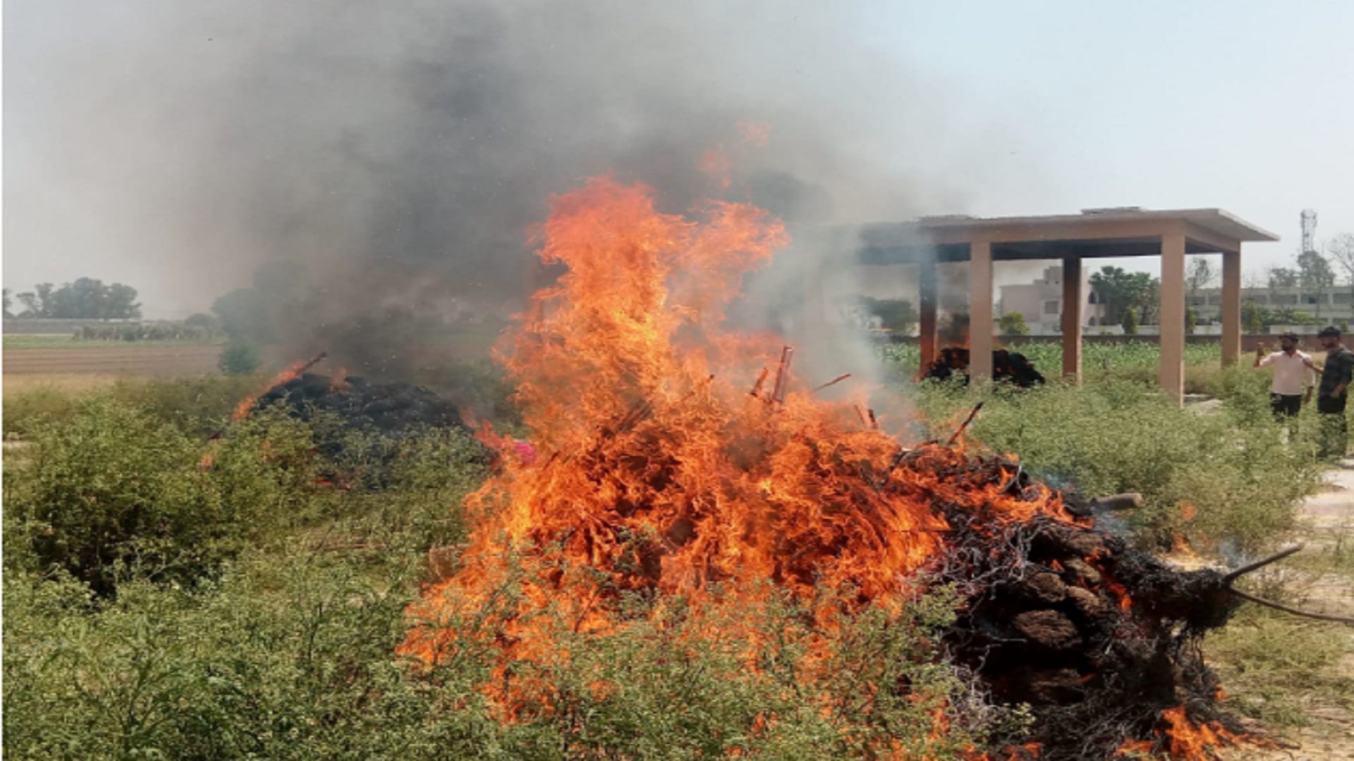 Muzaffarnagar News: there is mourning in the whole village due to the death of four people and see photos